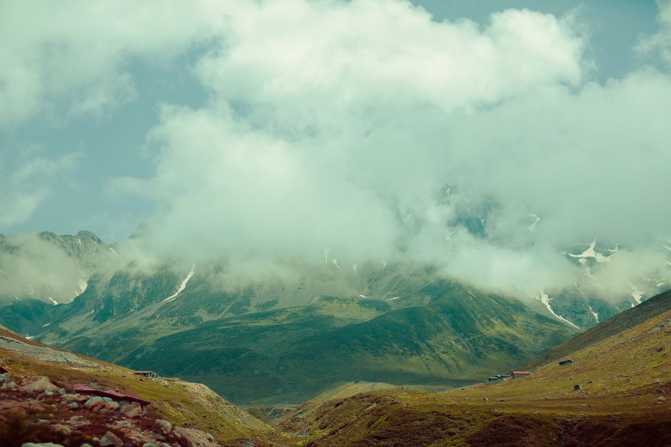 网站流量增长策略全解